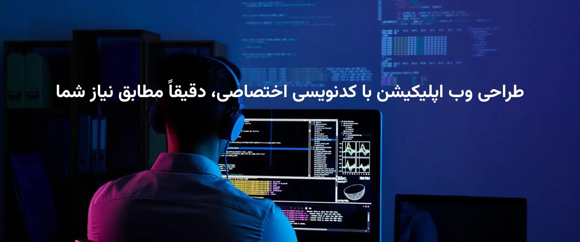 Developer